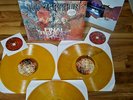 Led Zeppelin The Final Rehearsals 3 LP+2CD Colored Vinyl complete unedited