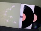 Modest Mouse 