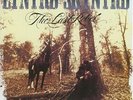 LYNYRD SKYNYRD The Last Rebel 1993 GERMANY SOUTHERN ROCK LP RARE