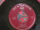 MIGHTY POWER 45-CARNIVAL FETE b/w TAX IN PUERTO RICO  RCA rare CALYPSO Trinidad