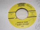 Danny's Reasons - Under My Thumb 1967 Minnesota Garage Punk EX-/VG+ G45 - HEAR.