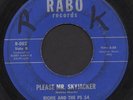 RICHIE & THE PS 54 Rare  MOD/LATIN/SOUL 45 RICARDO MARRERO Hear