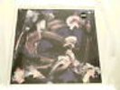 PAULINE OLIVEROS To Valerie Solanas & Marilyn Monroe SEALED LP