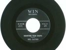 RARE 45 RPM, The Del-Satins, Win Records 702, VG+ Counting Tear Drops/Remember
