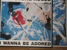 The Stone Roses I wanna be adored 12
