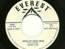 Rockn'roll Teen 45-Randy Lee 