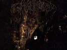 Wolves in the Throne Room 