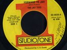 Jay Tees - Forward To Jah JA orig 7