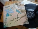 NIRVANA SONGS OF LOVE AND PRAISE 1972 MINT UK 1ST PRESS