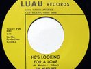 Rare Northern Soul 45 THE HEADLINES He's Looking For A Love on Luau M-