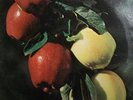 THE WASHINGTON APPLES Fresh Country Apples PSYCH ROCK Jazz Lounge ACID ARCHIVES