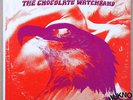 THE CHOCOLATE WATCHBAND   ONE STEP BEYOND   1969  WLP PROMO LP on TOWER ST 5153