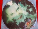THE CURE -Disintegration- Orig UK Picture Disc Vinyl LP