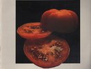 ANDRE CECCARELLI s/t FACTORY SEALED RARE TOMATOES COVER JAZZ FUNK LP
