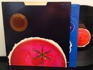 Womb S/T Rare 1967 Dot Records Psych Rock Die-Cut Cover W/ Pic Inner Vinyl LP