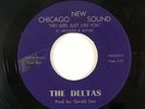 Northern Soul Funk 45 THE DELTAS Hey Girl Just Like You on New Chicago Sound