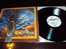 MERCYFUL FATE - IN THE SHADOWS LP original matrix RARE KING DIAMOND VENOM GHOST