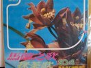 TAIWAN * LEICO COMPANY  * SQ STEREO QUADRAPHONIC LP *