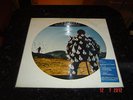 Pink Floyd Delicate Sound of Thunder Brazil LP PICTURE DISC EXCLUSIVE