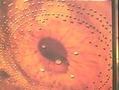 CATHERINE WHEEL FERMENT LP UK ORIGINAL W/FREE 12