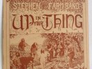 STEPHEN AND THE FARM BAND – Up In Your Thing - Rare psychedelic folk US LP