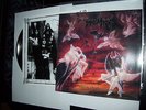 LP IMMOLATION 