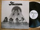 FIRESTORM RARE 1978 TX UNDERGROUND PROG PSYCH PRIVATE HARD ROCK AOR HEAVY