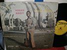 HORACE ANDY - SKYLARKING  -  STUDIO ONE -LP