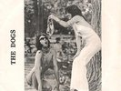 THE DOGS, 1977 Iowa punk on Rave Up 101, ROT 'N' ROLL TEEN SLIME, a classic