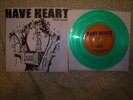 Have Heart what counts CALVIN & HOBBS cover GREEN 2004-05 Winter Tour bane verse