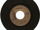 HOUND DOG TAYLOR, 60s R&R BLUES 45, FIRMA LABEL