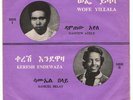 SAMUEL BEYENE  & DAMTEW AYELE / HYPNOTIC AFRO ETHIO DUO 70s - LISTEN