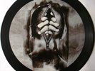 KISS   HEAD - CARNIVAL OF SOULS   RARE LIMITED EDITION PICTURE PIC DISC VINYL LP
