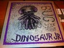 DINOSAUR JR BUG LIVE LP PURPLE LTD TO 200 SEBADOH J MASCIS SST