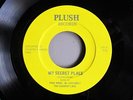 The Country Lads My Secret Place 45 private moody folk