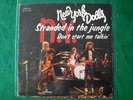 NEW YORK DOLLS