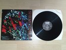 Sheer Terror - Thanks Fer Nuthin LP nyhc Warzone Agnostic Front Killing Time