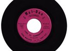 DON MALENA & DRY ICE land of summertime  GARAGE FUZZ PSYCH 45