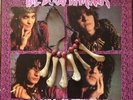 Dogs Damour Dynamite Jet Saloon and Necklace Steven James Original