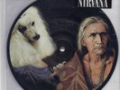 Nirvana / Jesus Lizard Kurt Cobain Dave Novoselic PICTURE DISC 7