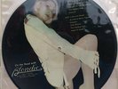 Blondie On The Road With USA LP Picture Disc