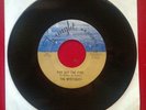 THE MYSTIQUES 45 Put Out the Fire / So Good To Have You Home Again TWINIGHT 112