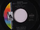 RAIK'S PROGRESS: Sewer Rat Love Chant / Sewer Rat Love Chant 45 (disc close to