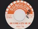 S. Texas DEEP Soul RICKY VEE How To Make a Little Girl Cry/Linda Lou HEAR BOTH