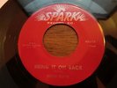 RARE r&b jump blues 45 MISTER RUFFIN on SPARK bring it