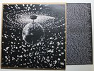 Neil Young RARE Reprise Vinyl 2LP 1995 Mirror Ball