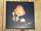 Pearl Jam Riot Act 2 lp 12
