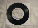 THE VENTURES Gemini / La Bamba 45 TEST PRESSING rare surf