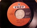 DENNY REED Hot Water ROCKABILLY POPCORN SOUL 45 HEAR Original Mint- TREY