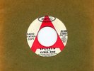 CYRUS ERIE ERIC CARMEN WALLY BRYSON Sparrow VG b/w Get The Message EX Promo 45